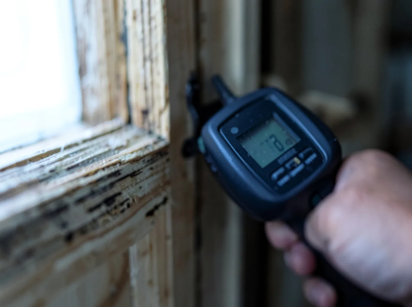 Moisture Inspection And Documentation in Camargo, IL